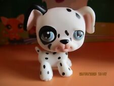 Petshop chien dalmatien d'occasion  Saint-Omer
