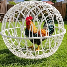 2025 new ball d'occasion  Expédié en Belgium