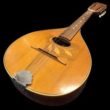 Reghin mandolin string for sale  ROMFORD