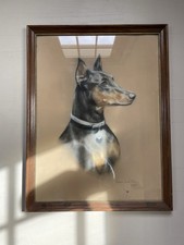 Framed vintage doberman for sale  Buxton
