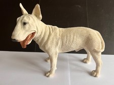 White english bull for sale  KINGS LANGLEY