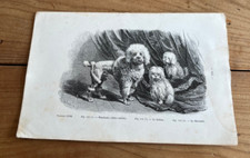 Antique dog engraving d'occasion  Expédié en Belgium