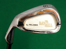 Bay hill palmer for sale  SPILSBY