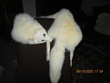 Polarfuchs kragen pelz gebraucht kaufen Polarfuchs kragen pelz gebraucht kaufen  Kirn