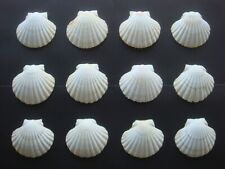 Lot coquilles saint d'occasion  Saint-Pierre-d'Oléron