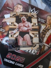 Wwe panini select for sale  READING