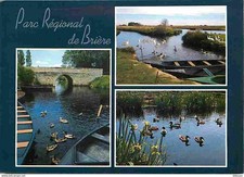 Brière parc naturel d'occasion  Fruges