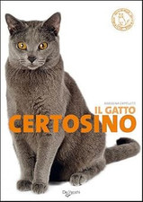 gatto certosino usato  Vejano