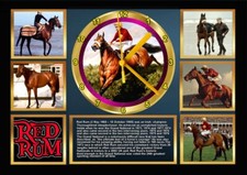 Red rum art for sale  STOKE-ON-TRENT