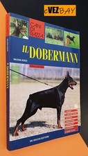 Dobermann cani razza usato  Novellara