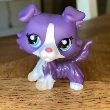 Petshop lps colley d'occasion  Lardy