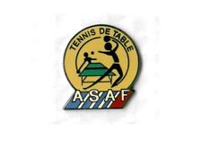 Pin air asaf d'occasion  Expédié en Belgium