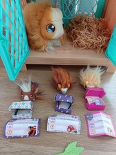 Little live pets for sale  SHEFFIELD