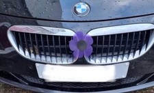 Cp1 purple poppy for sale  BRADFORD