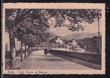 Cartolina biella viale usato  Italia