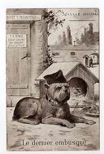 Chien chiens dog d'occasion  Expédié en Belgium