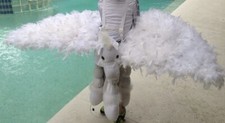 Custom pegasus flying for sale  Orlando