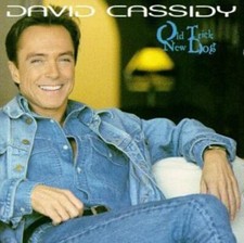 Cassidy david old for sale  STOCKPORT