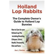Holland lop rabbits for sale  Hillsboro