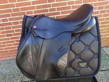 Albion legend jump gebraucht kaufen  Nordstrand