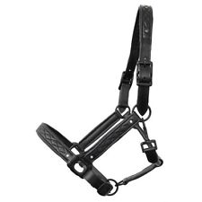 Shetty pony lederhalfter gebraucht kaufen  Bogel, Mieheln, Weyer