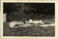 Photo ancienne vintage d'occasion  Paris XI