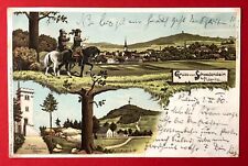 Litho pulsnitz 1900 gebraucht kaufen  Dresden