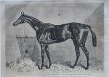 Stampa antica 1865 usato  Staranzano