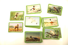 Chlorodont sammelbilder tierbi gebraucht kaufen Chlorodont sammelbilder tierbi gebraucht kaufen  Müllrose