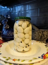 British quail eggs for sale  COLDSTREAM