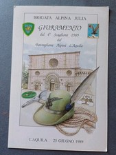 Alpini brigata alpina usato  Torino