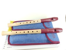 Moeck 1020 flauto gebraucht kaufen  Halver