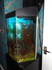Hexangonal aquarium plus for sale  BIRMINGHAM