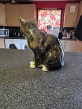 Mike hinton cats for sale Mike hinton cats for sale  WOODBRIDGE