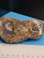 Thunder egg agate for sale  OXFORD