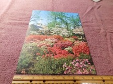 Art print magazine for sale  Saugatuck