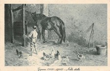 gignous usato gignous usato Milano