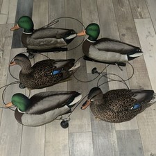 Avianx top flight for sale  Saint Petersburg