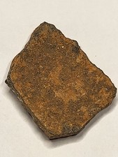 dinosaur fossils eggs for sale dinosaur fossils eggs for sale SOLIHULL