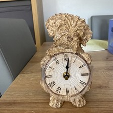 Next charlie cockerpoo for sale  CROYDON