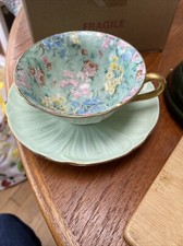 Shelley melody oleander for sale Shelley melody oleander for sale  BRIGHTON