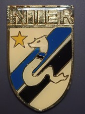 Pins pin badge usato  Italia