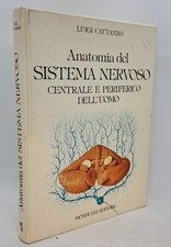 Anatomia del sistema usato  Arezzo