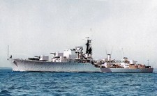 Royal navy daring for sale  WATERLOOVILLE