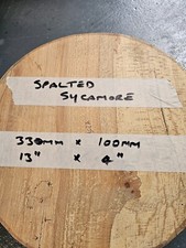 Large spalted sycamore for sale  KETTERING