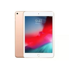 Apple ipad mini for sale  NEWARK