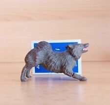 Hund wolf masse gebraucht kaufen  Lengenfeld