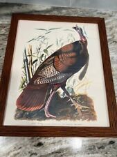 John james audubon for sale  Caledonia