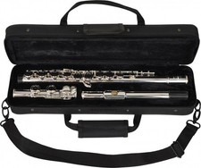 Ware steinbach querflöte gebraucht kaufen Ware steinbach querflöte gebraucht kaufen  Eschweiler