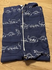 Next blue dinosaur for sale  BRISTOL
